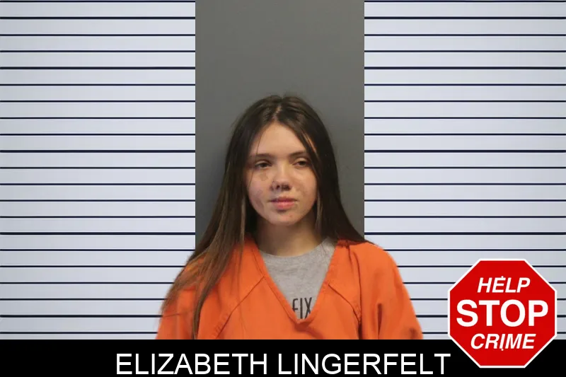 Elizabeth Lingerfelt mugshot