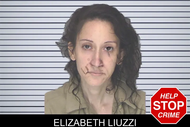Elizabeth Liuzzi mugshot