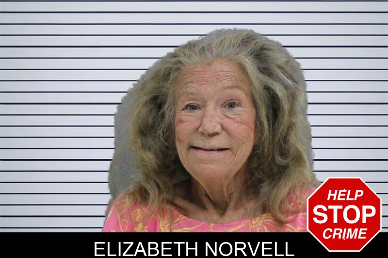 Elizabeth Norvell mugshot