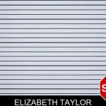 Elizabeth Taylor mugshot