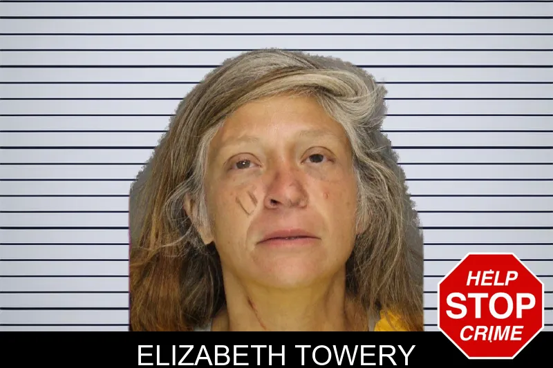 Elizabeth Towery mugshot