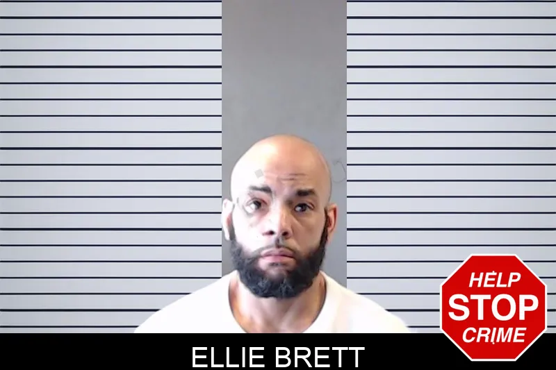 Ellie Brett mugshot – DeKalb County , Georgia Ellie Brett mugshot