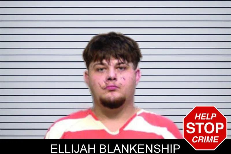 Ellijah Blankenship mugshot – Bartow County , Georgia Ellijah Blankenship mugshot