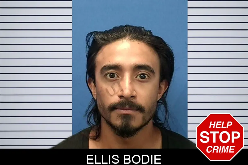 Ellis Bodie mugshot – Troup County , Georgia Ellis Bodie mugshot