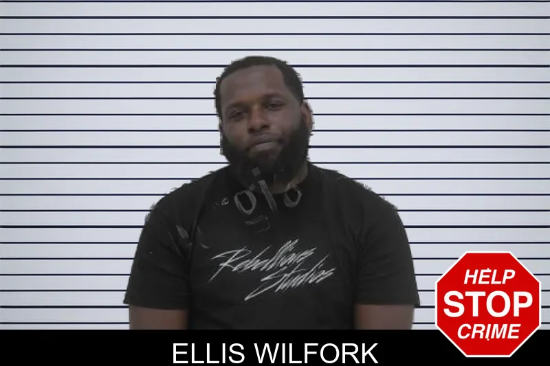 Ellis Wilfork mugshot