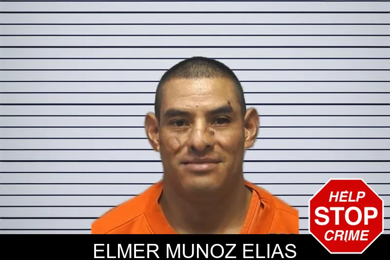Elmer Munoz Elias mugshot