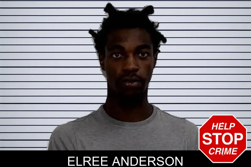 Elree Anderson mugshot