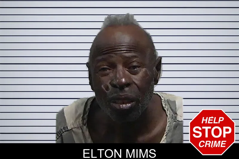 Elton Mims mugshot