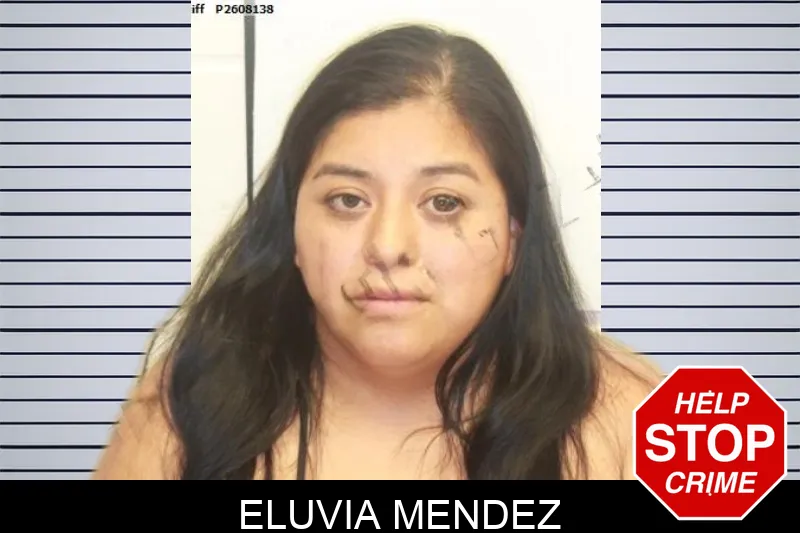 Eluvia Mendez mugshot – Chatham County , Georgia Eluvia Mendez mugshot