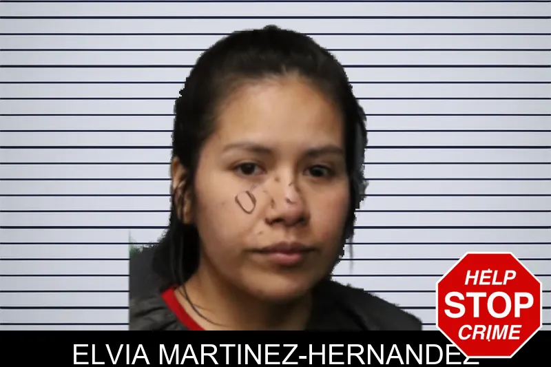 Elvia Martinez-Hernandez mugshot