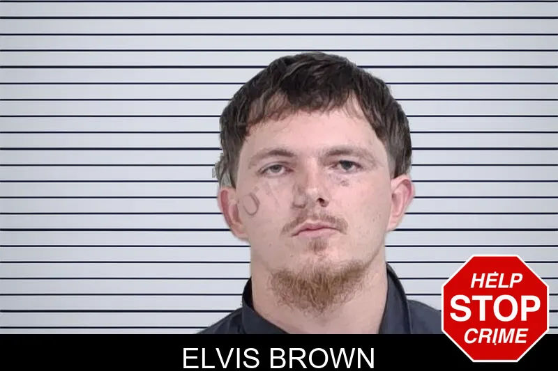 Elvis Brown mugshot