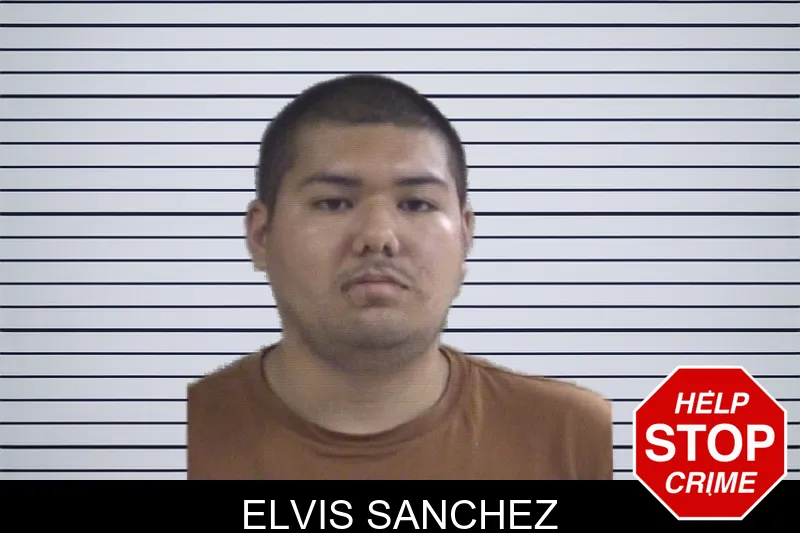 Elvis Sanchez mugshot