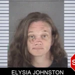 Elysia Johnston mugshot – Spalding County , Georgia Elysia Johnston mugshot