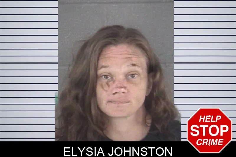 Elysia Johnston mugshot – Spalding County , Georgia Elysia Johnston mugshot
