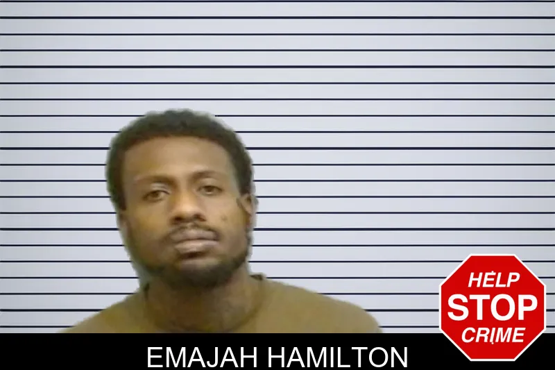 Emajah Hamilton mugshot – Fulton County , Georgia Emajah Hamilton mugshot