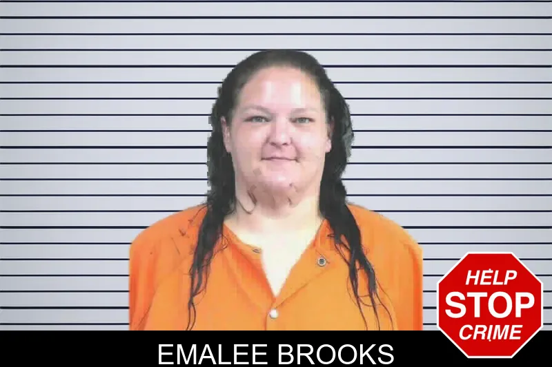 Emalee Brooks mugshot – Mitchell County , Georgia Emalee Brooks mugshot
