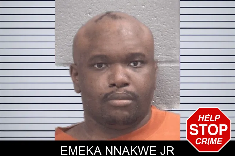 Emeka Nnakwe Jr mugshot