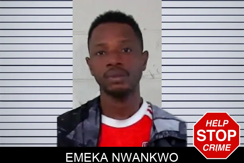Emeka Nwankwo mugshot – Liberty County , Georgia Emeka Nwankwo mugshot