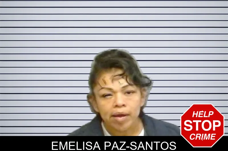 Emelisa Paz-Santos mugshot