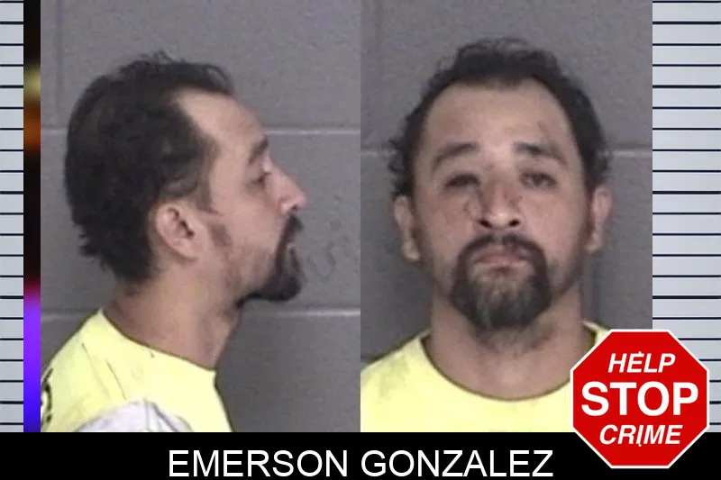 Emerson Gonzalez mugshot