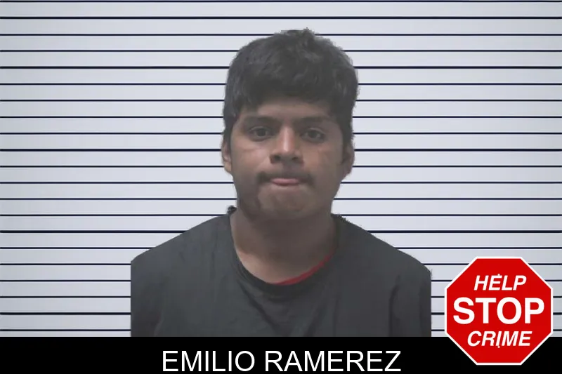 Emilio Ramerez mugshot – Coweta County , Georgia Emilio Ramerez mugshot