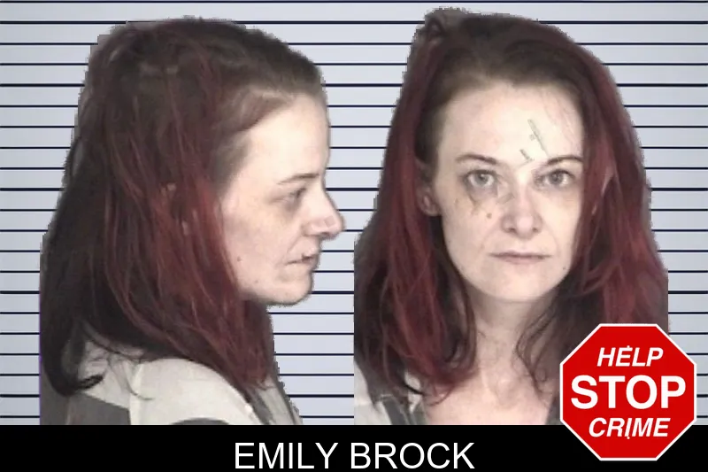 Emily Brock mugshot