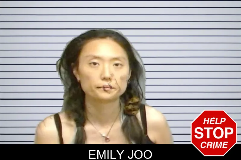 Emily Joo mugshot – Fulton County , Georgia Emily Joo mugshot
