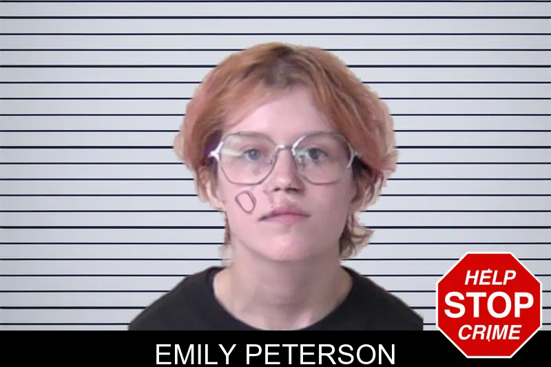 Emily Peterson mugshot – Walker County , Georgia Emily Peterson mugshot