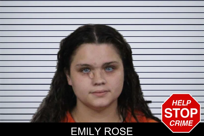 Emily Rose mugshot – Lamar County , Georgia Emily Rose mugshot