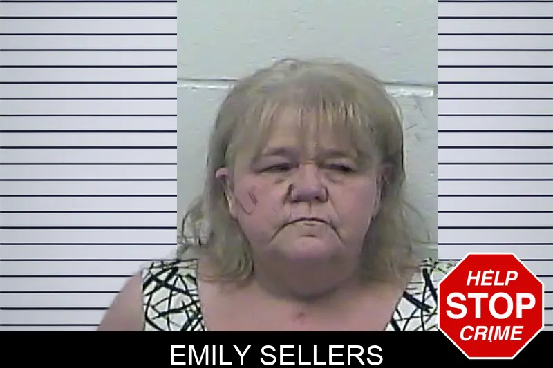 Emily Sellers mugshot