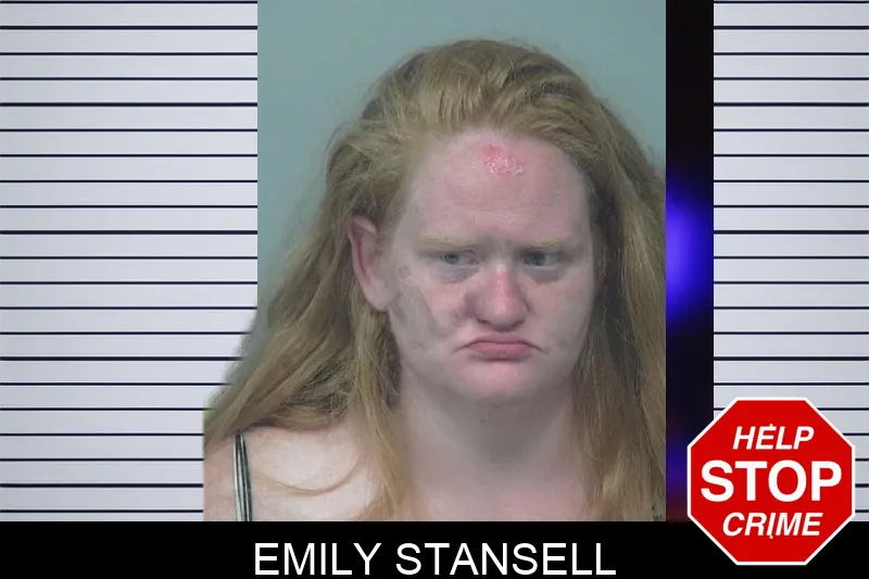 Emily Stansell mugshot – Gwinnett County , Georgia Emily Stansell mugshot