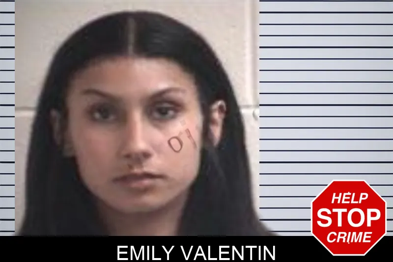 Emily Valentin mugshot