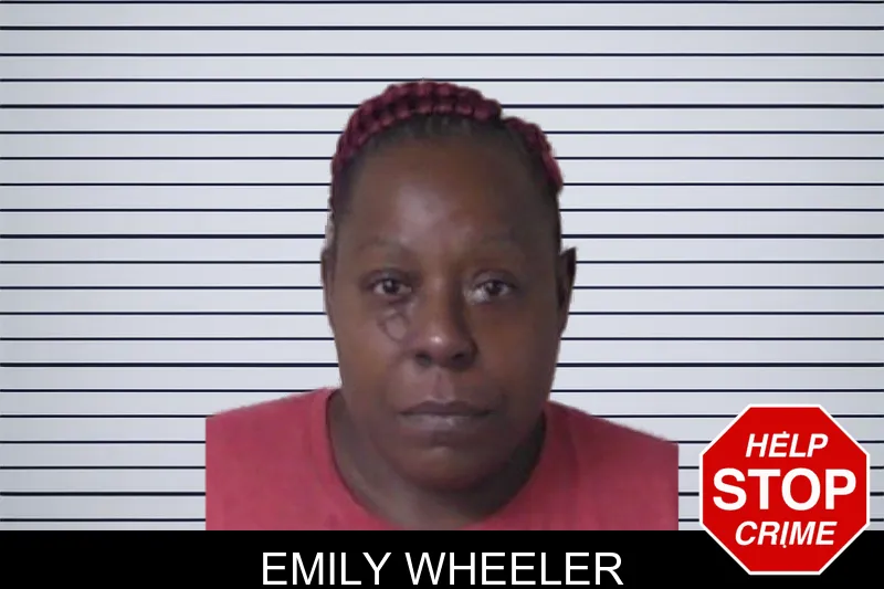 Emily Wheeler mugshot