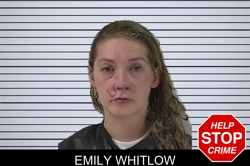 Emily Whitlow mugshot