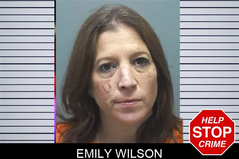 Emily Wilson mugshot