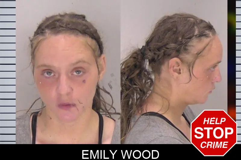 Emily Wood mugshot