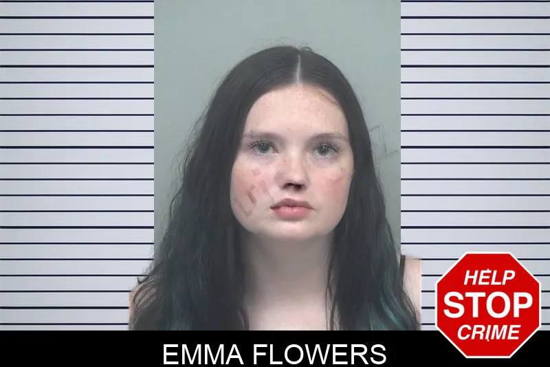 Emma Flowers mugshot – Gwinnett County , Georgia Emma Flowers mugshot