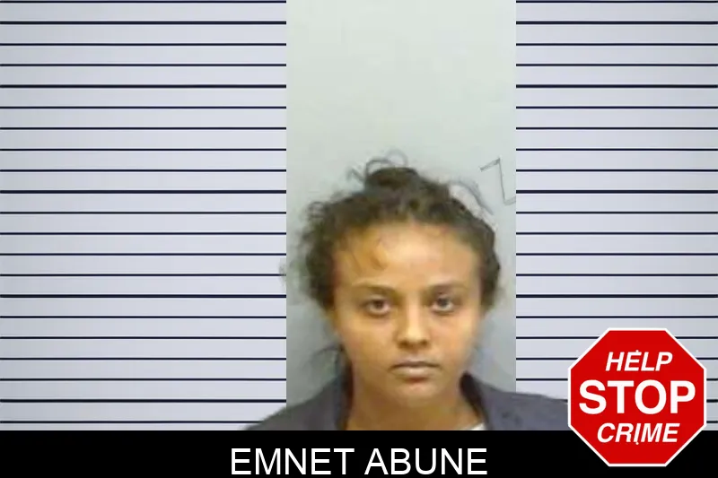 Emnet Abune mugshot