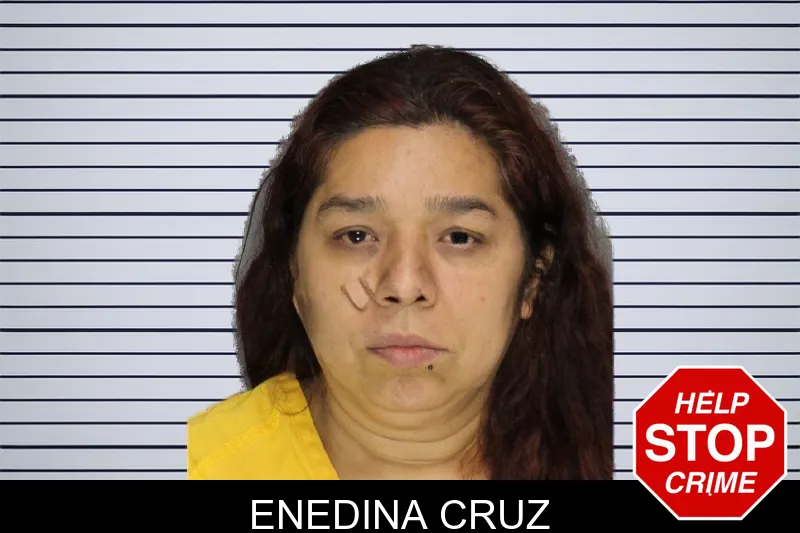 Enedina Cruz mugshot