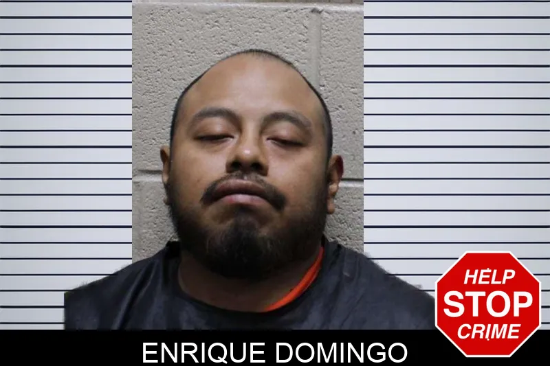 Enrique Domingo mugshot