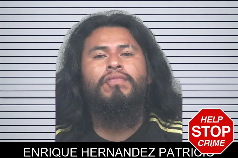 Enrique Hernandez Patricio mugshot