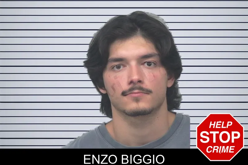 Enzo Biggio mugshot – Gwinnett County , Georgia Enzo Biggio mugshot