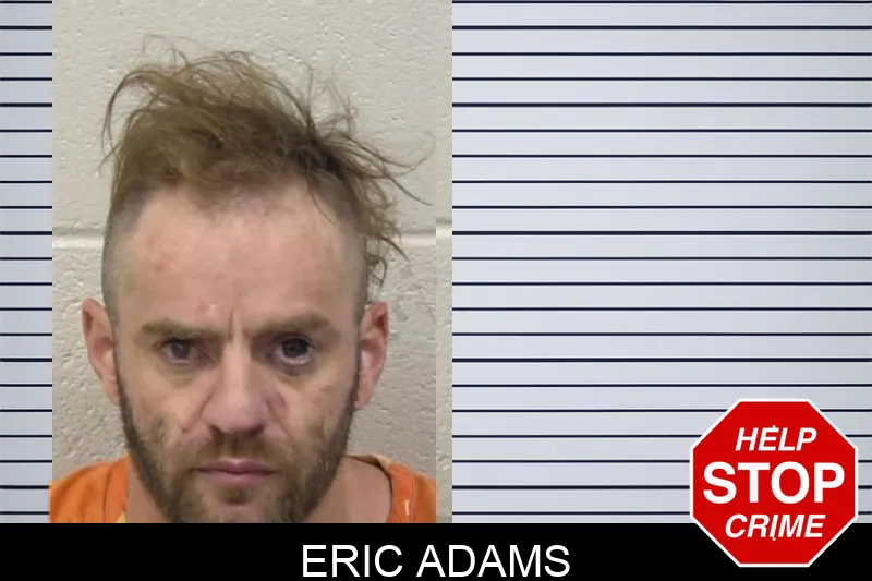 Eric Adams mugshot – Paulding County , Georgia Eric Adams mugshot
