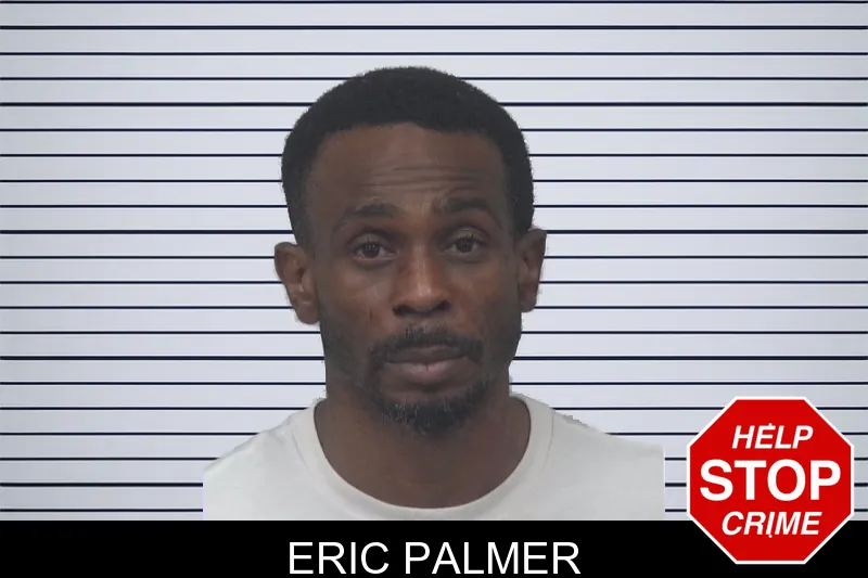 Eric Palmer mugshot