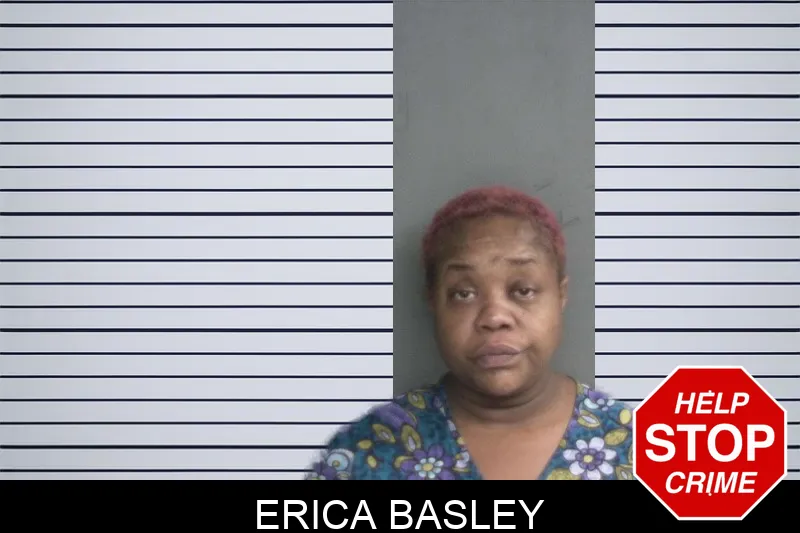 Erica Basley mugshot – Twiggs County , Georgia Erica Basley mugshot
