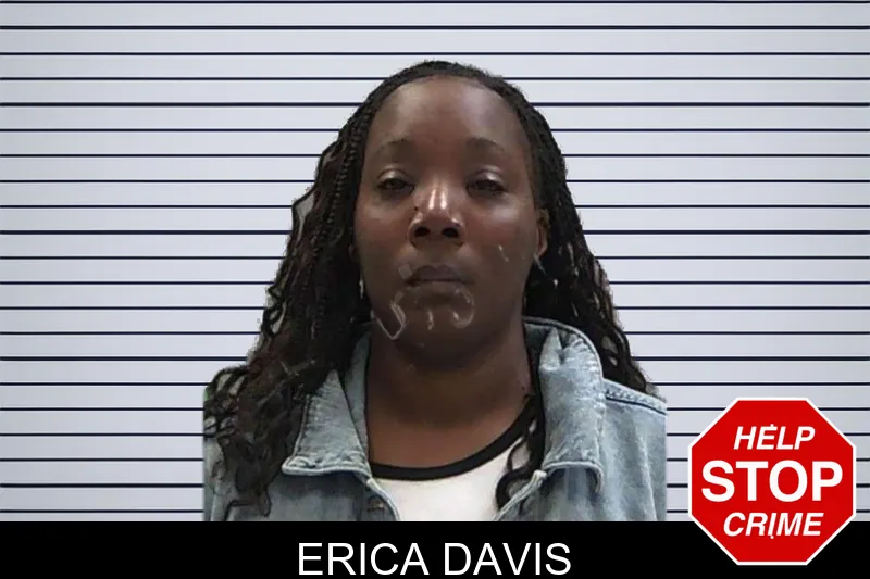 Erica Davis mugshot