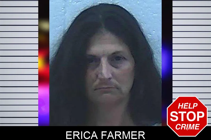 Erica Farmer mugshot