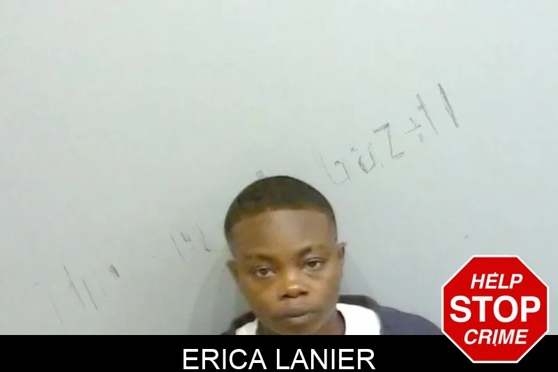 Erica Lanier mugshot