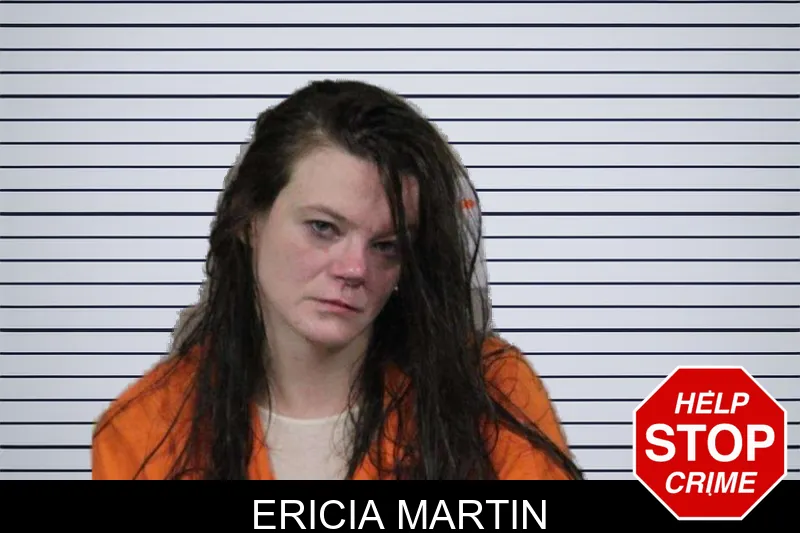 Ericia Martin mugshot
