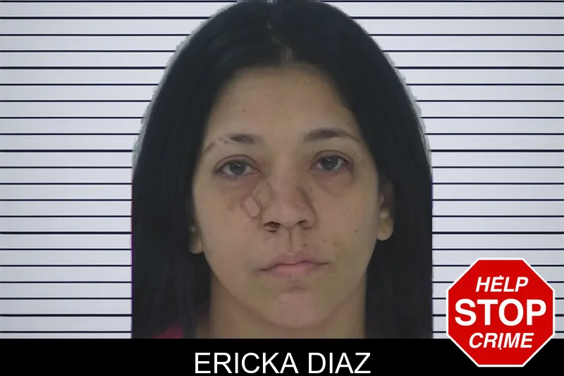 Ericka Diaz mugshot